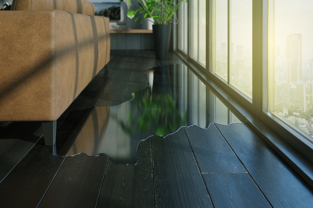 Water in Hardwood floor