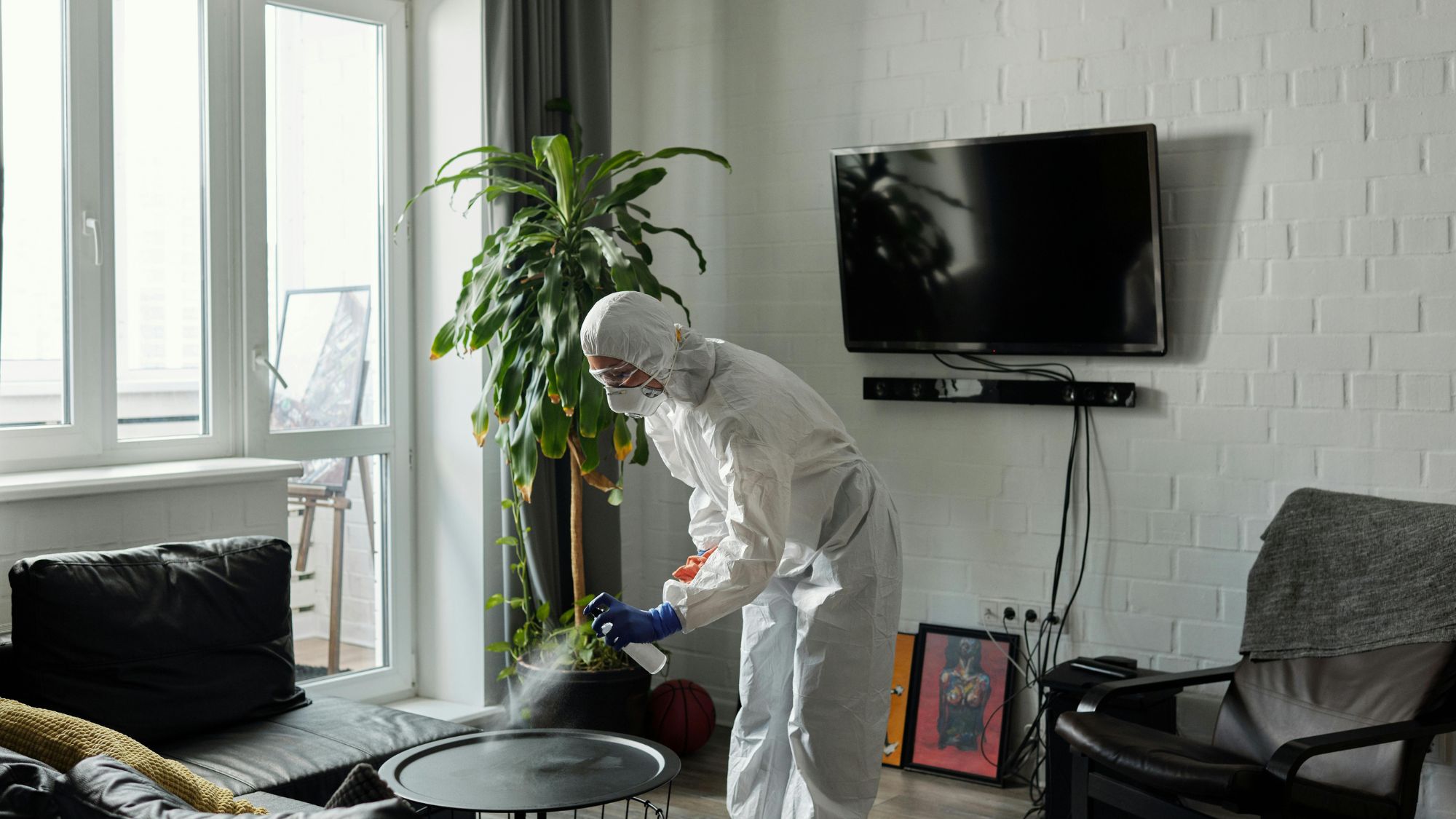 A man trying to how to remove stains and maintain the sofa’s upholstery