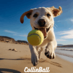 CollieBall
