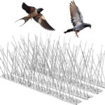 Bird Spikes