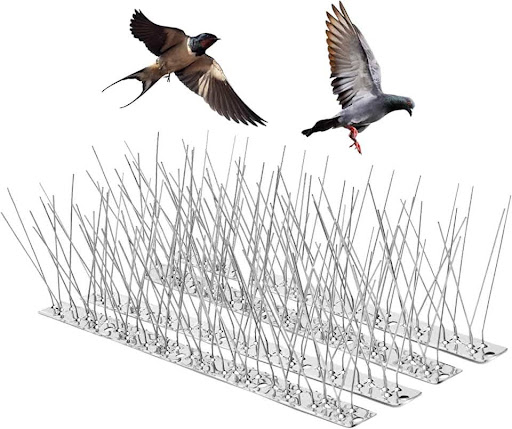 Bird Spikes