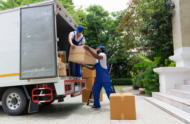 Movers in Luxembourg