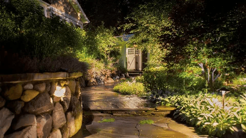 Landscape Lighting Installation
